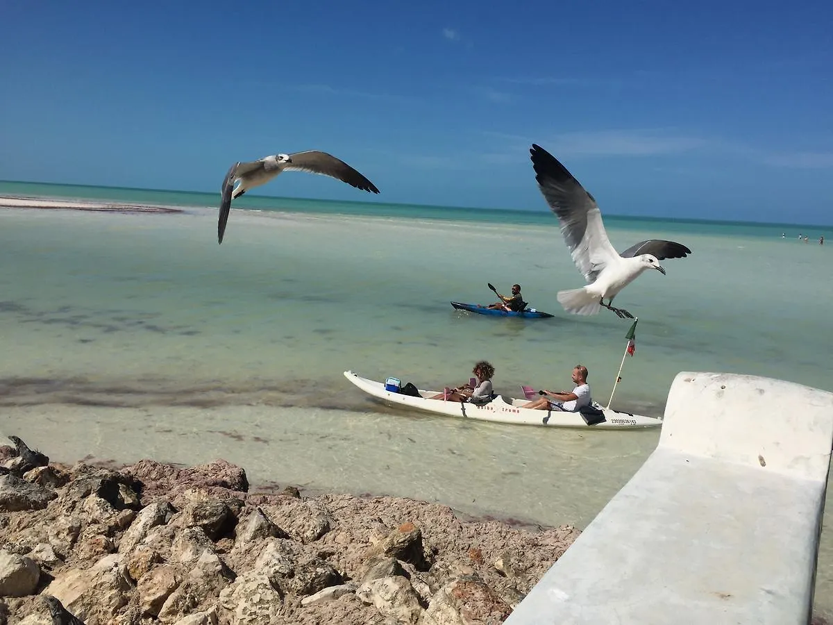 Hotel Hacienda La Catrina Isla Holbox