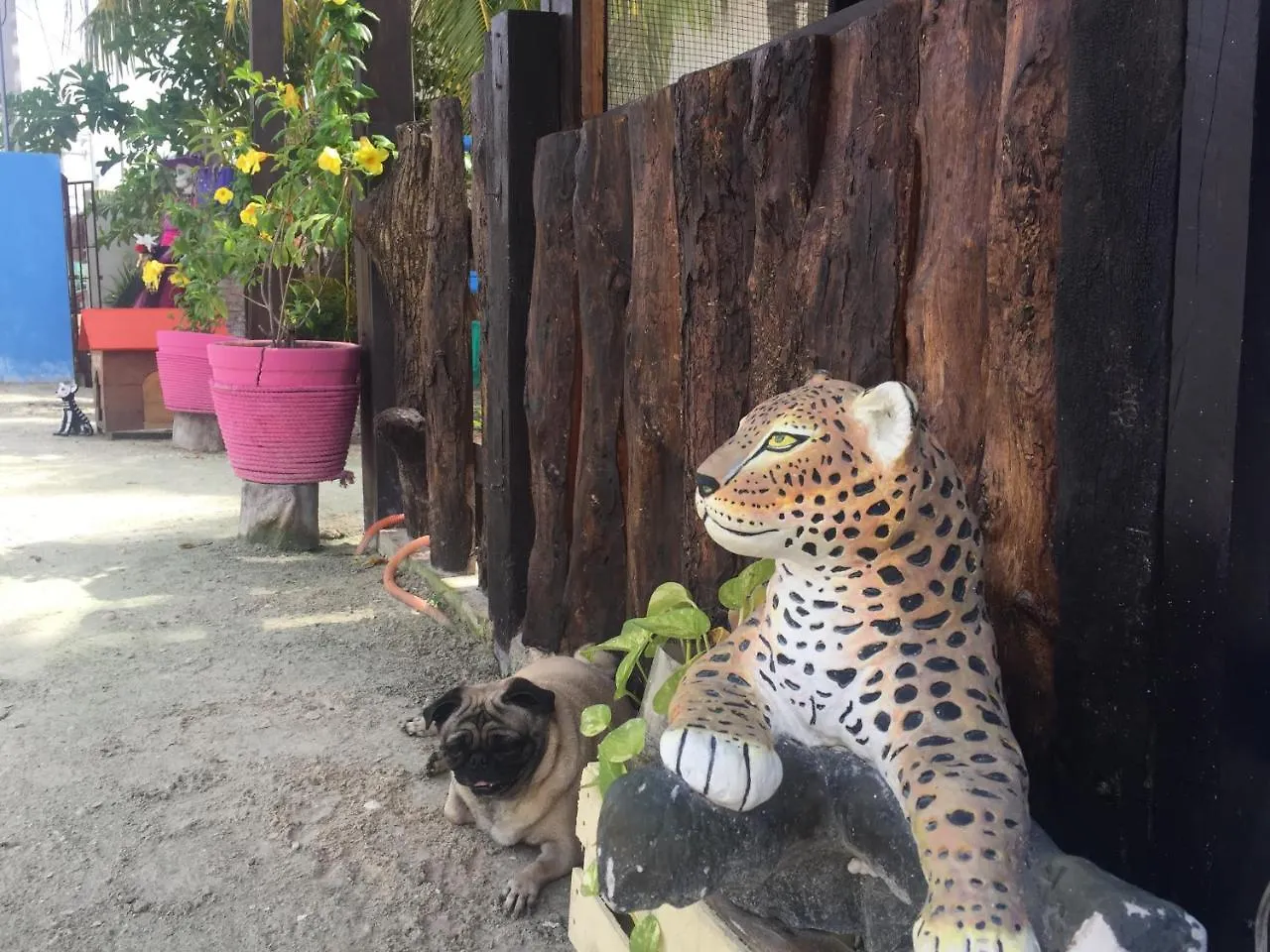 Hotel Hacienda La Catrina Isla Holbox